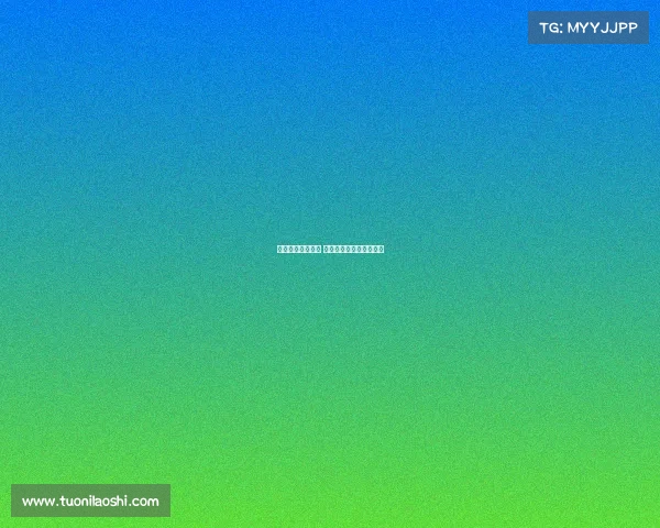 德甲赛季精彩回顾 聚焦球迷热情与精彩瞬间 德甲赛季精彩回顾 聚焦球迷热情与精彩瞬间